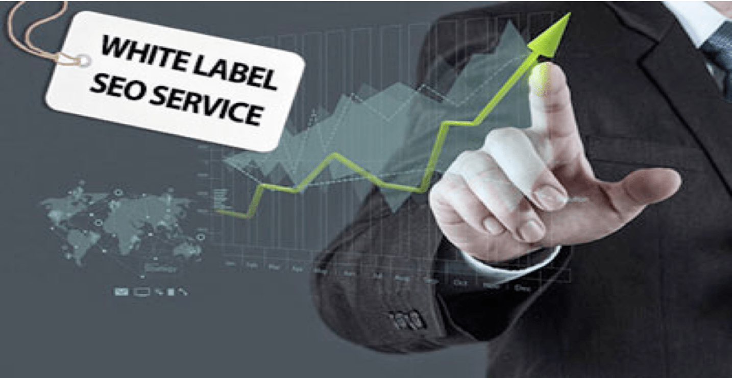 What Is White Label SEO And Why Business Need It